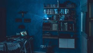 Beyond the Screen: Cultural Reflections in Korean Adult Cinema
