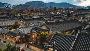 The Dark Side of Desire: Analyzing Themes in Korean 18+ Movies
